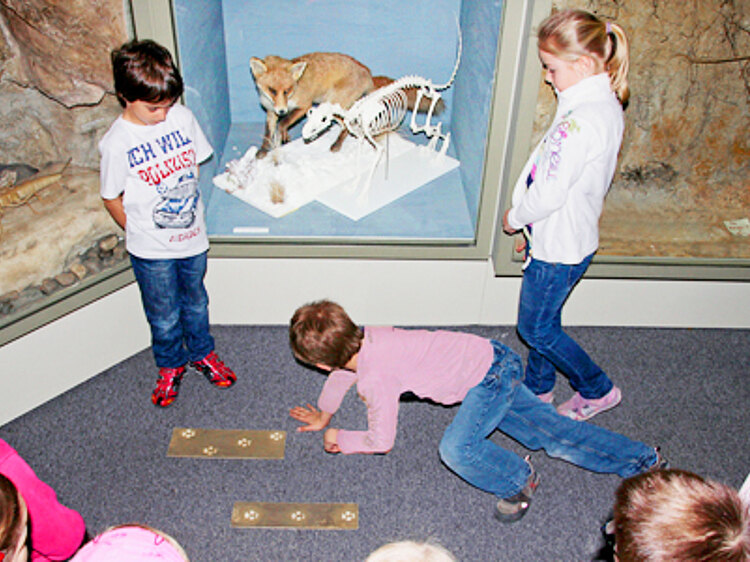 Drei Kinder lösen ein Rätsel im Naturkundemuseum.