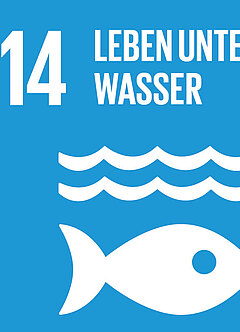 SDG 14 Leben unter Wasser, Symbol: Fisch