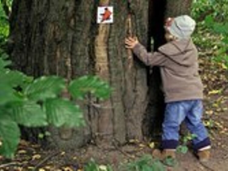 Ein Kind das einen Baum untersucht.