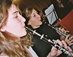 Klarinettenspielerinnen im Orchester