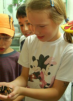 Ein lächelndes Mädchen umringt von anderen Kindern trägt eine Vogelspinne auf den Händen.