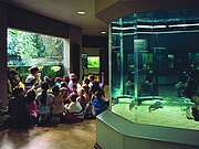 Eine Schulklasse sitzt gemeinsam mit einer Lehrkraft eng zusammen vor einem großen Aquarium.