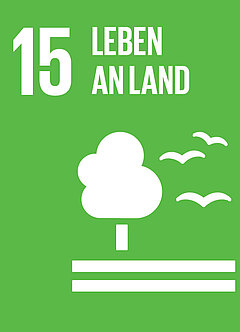 SDG 15: Leben an Land, Symbol: Baum