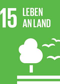 SDG 15 Leben an Land Symbol Baum