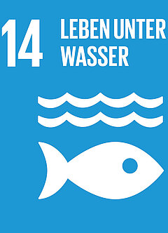 SDG 14 leben unter Wasser Symbol: Fisch