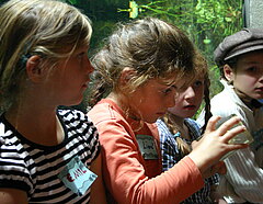 Kinder schauen sich einen Piranha-Schädel aus nächster Nähe an
