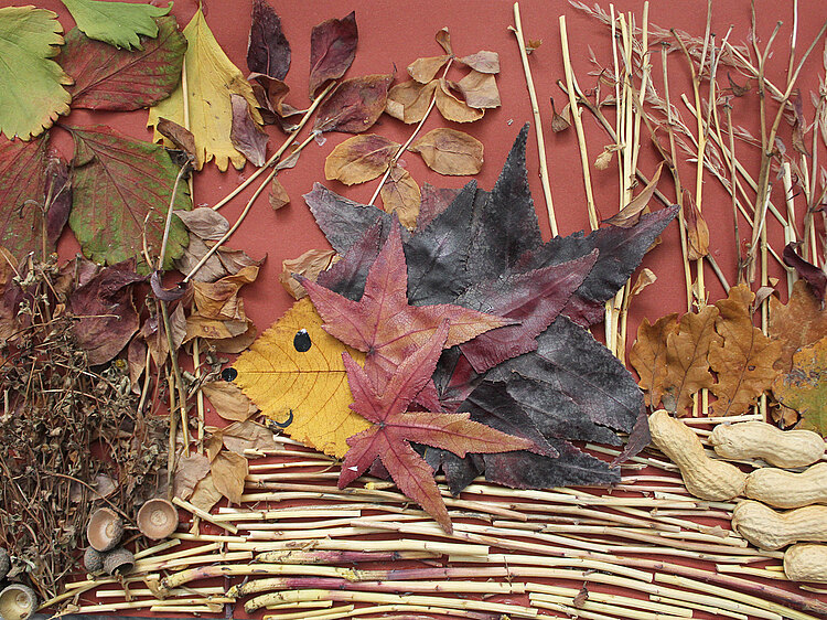 Aus Naturmaterialien wurde ein Bild gestaltet: Blätter, Ähren, gestrocknete Ästchen, Eicheln, Erdnüsse zeigen einen Igel im Gebüsch