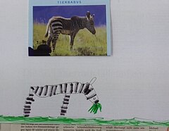Auf einem weißen Papier ist ein Foto von einem Zebra. Ein Kind aus einer Grundschule hat das Zebra darunter mit Filzstiften abgezeichnet.