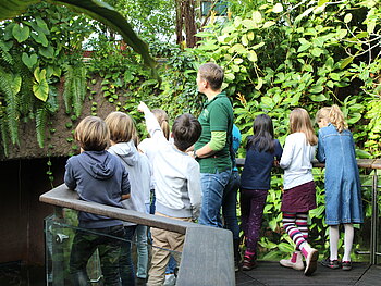 Eine Gruppe von Kindern steht in der Tropenhalle des Aquazoo und spricht mit einer Lehrkraft über eine der Pflanzen.